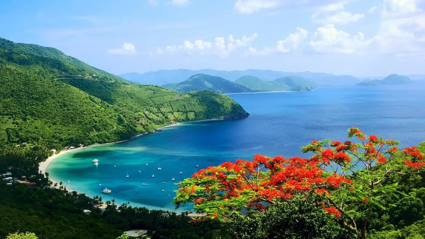 高精度自动化高效
